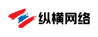 安徽纵横网络有限公司